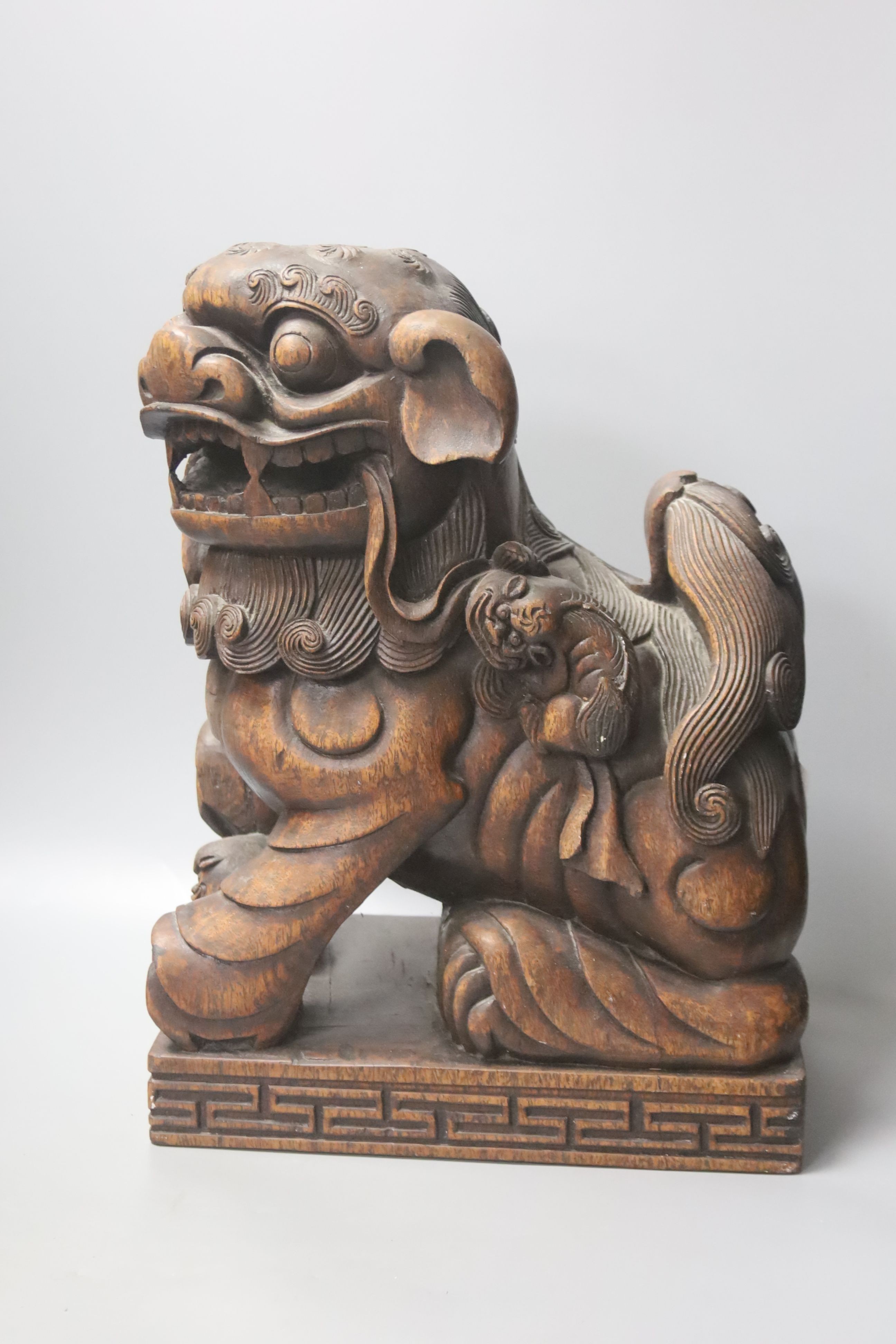 A pair of Chinese carved hardwood Buddhist lions, width 26cm height 37cm